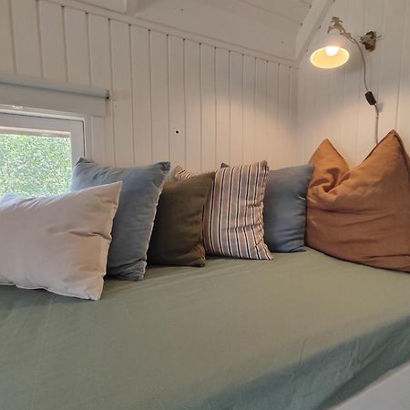 Tranum Klit Camping Og Hytteudlejning Brovst エクステリア 写真