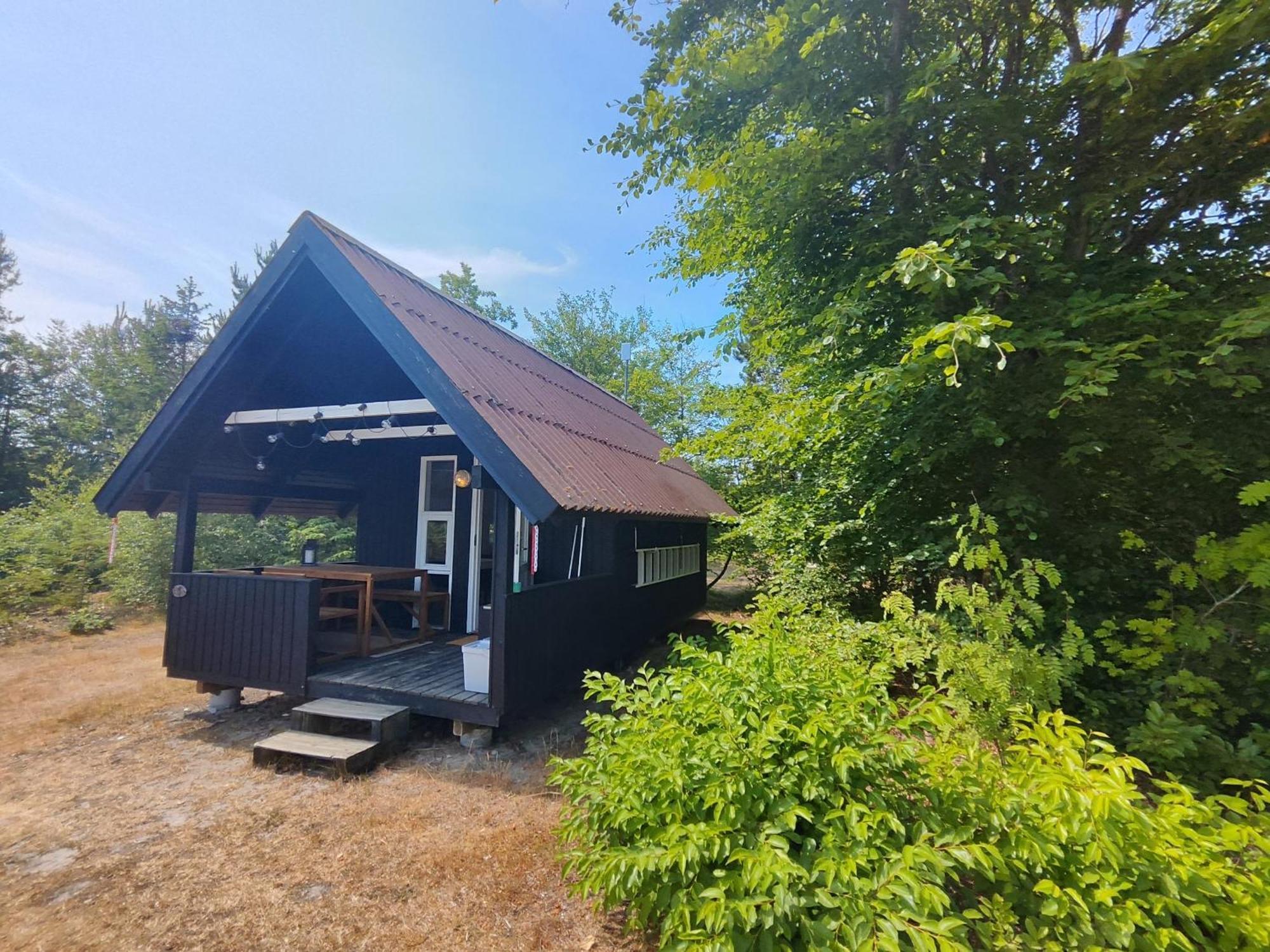 Tranum Klit Camping Og Hytteudlejning Brovst エクステリア 写真